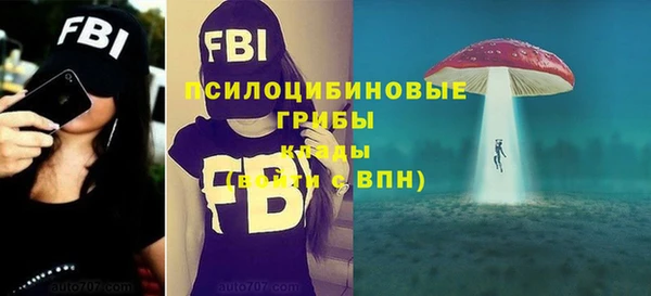 стаф Алексеевка