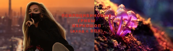 ГАЛЛЮЦИНОГЕННЫЕ ГРИБЫ Алзамай