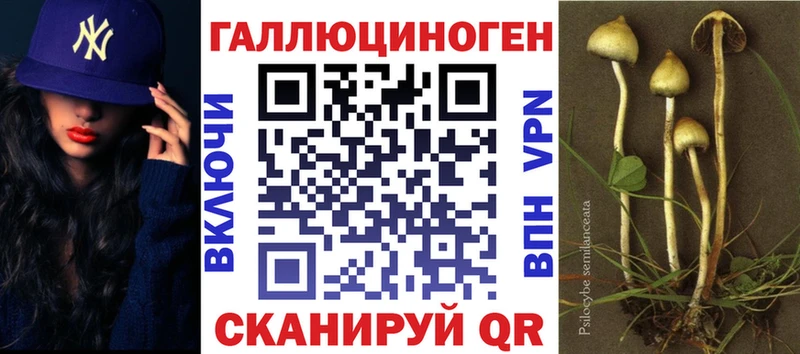 мориарти какой сайт  Морозовск  Псилоцибиновые грибы GOLDEN TEACHER  купить наркотики цена 